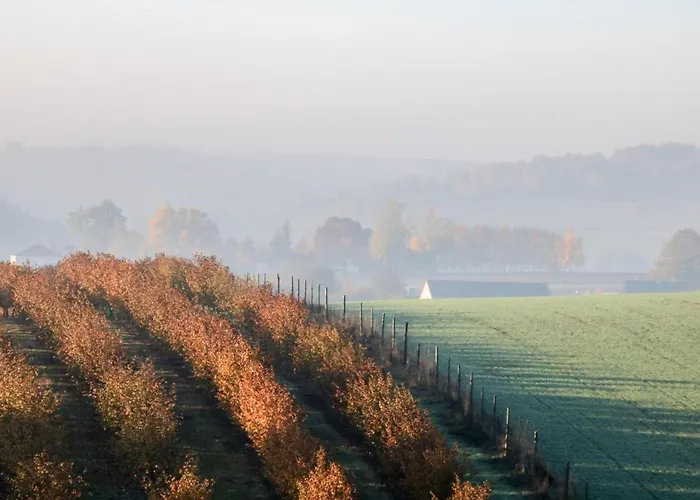 Prázdninový dům Moja Mala Toskania By Interhome Cisowa