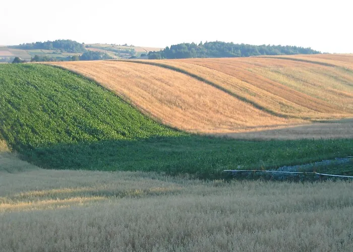 Moja Mala Toskania By Interhome Prázdninový dům Cisowa