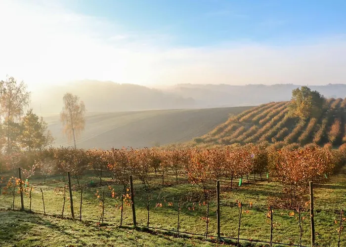 Prázdninový dům Moja Mala Toskania By Interhome