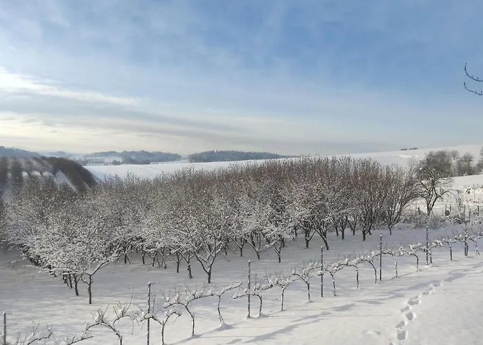 Prázdninový dům Moja Mala Toskania By Interhome